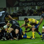 ASM_BO_top14_16