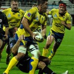 ASM_BO_top14_19