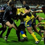 ASM_BO_top14_20