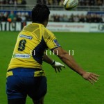 ASM_BO_top14_22