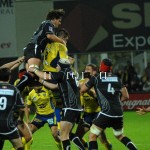 ASM_BO_top14_24