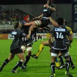 ASM_BO_top14_25