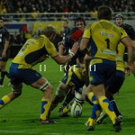 ASM_BO_top14_31