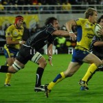 ASM_BO_top14_32