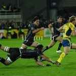 ASM_BO_top14_33