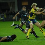 ASM_BO_top14_34