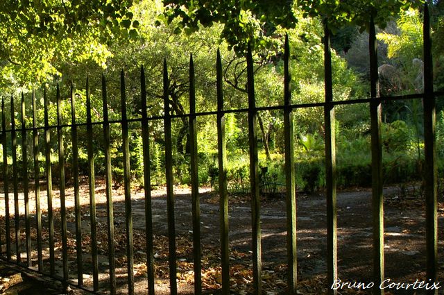 coimbra_jardinbotanique_36