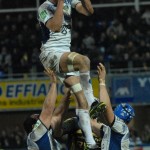 asm_ospreys_hcup_23