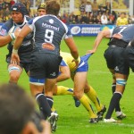 ASM_Castres_TOP14_23