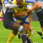 ASM_Castres_TOP14_50