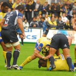 ASM_Castres_TOP14_81