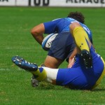 ASM_MHRC_TOP14_17