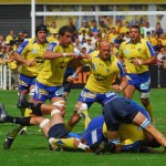 ASM_MHRC_TOP14_40