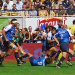 ASM_MHRC_TOP14_88