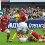 ASM_Llanelli_Scarlets_Hcup_26