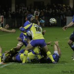 ASM_CASTRES_TOP14-7432