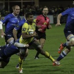 ASM_CASTRES_TOP14-7479