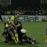 ASM_TOULOUSE_TOP14-7934